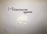 High Purity Bulking Steroid 1-testosterone cypionate Powder Injectable Raws Help Muscle Building