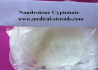 Nandrolone Steroid Nandrolone Cypionate CAS 601-63-8 Steroid Hormone For Bodybuilding