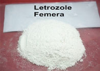 Oral Legal Anabolic Steroids Letrazole Femara For Fitness Muscle Grwoth