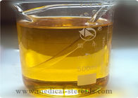 Injectable Nandrolone Steroid Dynabolan 400mg / Nandrolone Undecanoate 400mg/ml