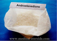 White Crystaline Prohormone Powder Androstenedione For Anorchia Replacement Therapy Treatment