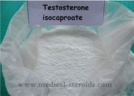 Testosterone Anabolic Steroid Testosterone Isocaproate To Burn Fat And Build Muscle