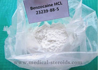 Benzocaine HCL Local Anesthetic Drugs 23239-88-5 For Pain Relief 99% Purity Benzocaine Hydrochloride