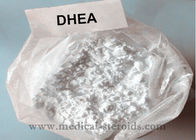 Health Prohormone Powder Dehydroepiandrosterone DHEA For Bodybuilding 99% Purity