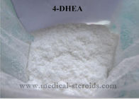 Pharmaceutical Steroid Intermediate Prohormone Powder 4-DHEA For Bodybuilding Muscle