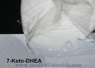 Prohormone Anabolic Steroid Injection Powder 7- Keto DHEA For Muscle Gaining
