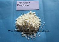Anabolic Steroid Trenbolone Enanthate Tren Ace CAS 10161-33-8 For Gaining Strength and Muscle Mass