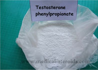 Testosterone Phenylpropionate Natural Male Enhancement Powder / Male Performance Supplements White Powder