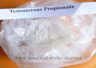 Testosterone Propionate Raw Steroid Powders For Gynecological And  Male Hypothyroidism
