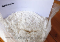 Boldenon Base Raw Steroid Powders / Bodybuilding Prohormone Supplements