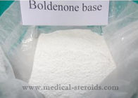 1 Dehydrotestosterone Raw Steroid Powders , Bodybuilding Anabolic Steroids CAS 846-48-0