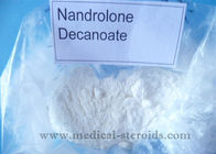 Injectable Steroid DECA Popular Deca Durabolin 250mg White Powder Nandrolone Decanoate Steroid Help Muscle Building