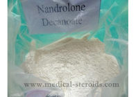 Injectable Steroid DECA Popular Deca Durabolin 250mg White Powder Nandrolone Decanoate Steroid Help Muscle Building