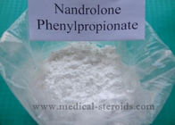 White Powder Nandrolone Phenylpropionate Supplements For Promoting Protein Synthesis