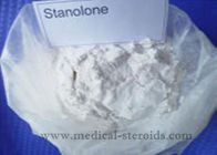 Safe Legal Muscle Building Steroids White Crystalline Powder Stanolone CAS 521-18-6