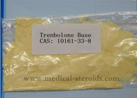 Trenbolone Base Raw Steroid Powders Trenbolone For Bodybuilding CAS 10161-33-8