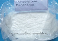 Testosterone Decanoate Muscle Protein Powder Raw Materials For Pharmaceutical Industry