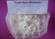 Anabolic Hormone Injectable Steroid powder Nandrolone Decanoate Deca to gain Muscle