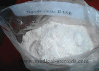 Pharmaceutical Raw Steroid Powders / Nandrolone Steroid For Bodybuilding