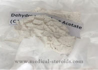 Dehydronandrolone Acetate Pharmaceutical Raw Materials For Antiasthmatic / Antiallergic