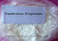 Nandrolone Propionate Raw Hormone Powders With 99.5% Purity Cas 7207-92-3