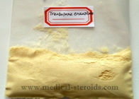 Trenbolone Enanthate Tren Anabolic Steroid Tren E For Increase Muscular Endurance CAS 10161-33-8