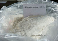White Testosterone Anabolic Steroid Powder Turinabol / Clostebol Acetate Hormone CAS 855-19-6