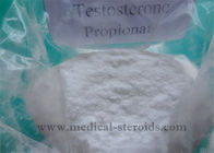 Testosterone Anabolic Raw Steroid Powders Test PRO High Pure CAS 57-85-2