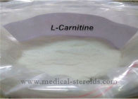 Pharma Grade Amino Acid L-Carnitine Natural Weight Loss Powder For Women CAS 541-15-1