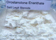 Raw Steroid Powder Drostanolone Propionate Masteron Injections For Muscles Building
