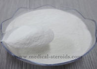 Theobromine Cocoa Weight Loss Steroids Powder CAS 83-67-0 For Sexy Figure With Factory Price
