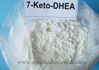 Natural 7-keto DHEA 7-Keto-Dehydroepiandrosterone For Increasing Metabolism 566-19-8