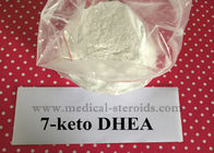 Natural 7-keto DHEA 7-Keto-Dehydroepiandrosterone For Increasing Metabolism 566-19-8
