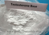 Testosterone Base Steroid Raw Powder Testosterone For Bodybuilder Muscle Growth Steroid