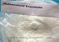 303-42-4 Raw Steroid Powders Methenolone Enanthate Primobolan Depot For Sterngth Gain