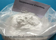 High Purity Raw Material Powder Testosterone Enanthate  For Bodybuilding CAS 315-37-7