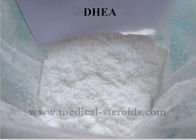 DHEA Raw Steroids Prohormone Powder Lose Fat Gain Muscle Dehydroisoandrosterone CAS 53-43-0