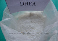 DHEA Raw Steroids Prohormone Powder Lose Fat Gain Muscle Dehydroisoandrosterone CAS 53-43-0