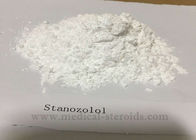Winstrol Anabolic Oral Steroids Bodybuilding Stanozolol CAS 10418-03-8