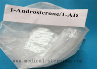 CAS 53-41-8 Prohormone Powder 99.50% Male Steriod Powder Androsterone for boost strength