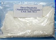 Injectable Anabolic Steroids Hormone Nandrolone Decanoate For Bodybuilder Powder CAS 360-70-3