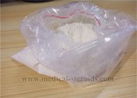 Theobromine Steroids Powders Pharmaceutical Raw Materials Weight Loss Supplement CAS 83-67-0