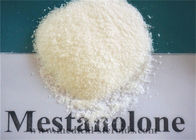 High purity Oral Anabolic Steroids powder Mestanolone For Bodbuilding Cas 521-11-9