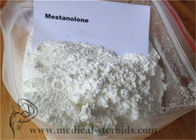 High purity Oral Anabolic Steroids powder Mestanolone For Bodbuilding Cas 521-11-9