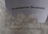 Testosterone Steroids Testosterone Decanoate For Muscle Growth CAS 5721-91-5