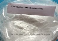 Testosterone Steroids Testosterone Decanoate For Muscle Growth CAS 5721-91-5