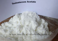 Natural Male Sex Steroid Hormones Testosterone Isocaproate For Muscle Growth Cas 15262-86-9