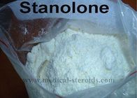 Male Enhancement Steroids ​Anabolic Steroid Articles Stanolone Powder CAS 521-18-6