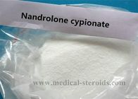 Cutting Cycle Aplastic Anemia / Male Enhancement Drugs Nandrolone Cypionate CAS 601-63-8