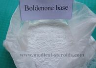 Boldenone Base Anabolic Steroid Articles CAS 846-48-0 Muscle Building Powder